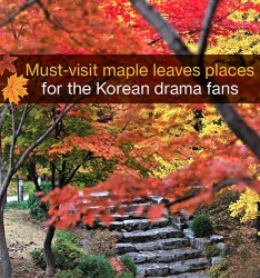 Must-visit maple leaves places for the Korean drama fans